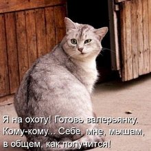 ������ ����������� �� ������