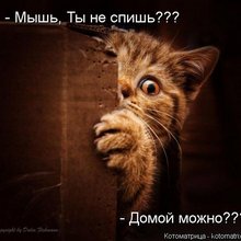 ������ ����������� �� ������