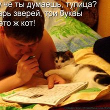 ������ ����������� �� ������