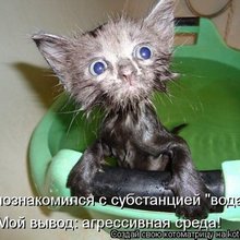 ������ ����������� �� ������