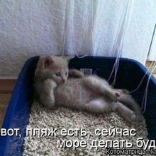 ������ ����������� �� ������