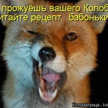 ������ ����������� �� ������