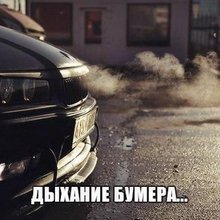 ���� �������