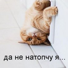 ������ ����������� �� ������