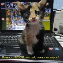 ������ ����������� �� ������
