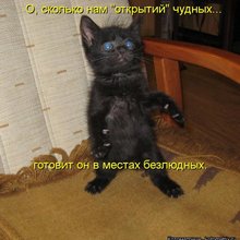 ������ ����������� �� ������