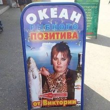 ����� ���������� ������� 2013 ����