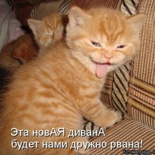 ������ ����������� �� ������