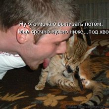 ������ ����������� �� ������