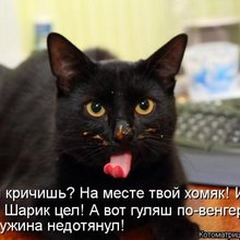 ������ ����������� �� ������