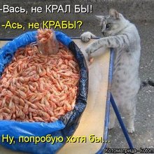 ������ ����������� �� ������