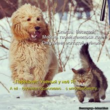 ������ ����������� �� ������