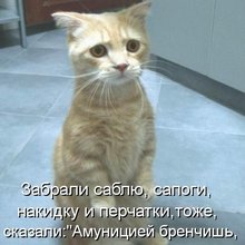 ������ ����������� �� ������