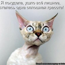 ������ ����������� �� ������