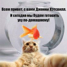��������-���