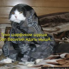 ������ ����������� �� ������