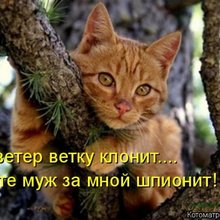 ������ ����������� �� ������