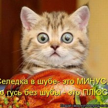 ������ ����������� �� ������