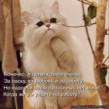 ������ ����������� �� ������