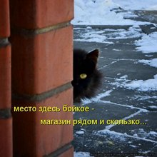 ������ ����������� �� ������