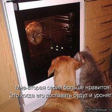 ������ ����������� �� ������
