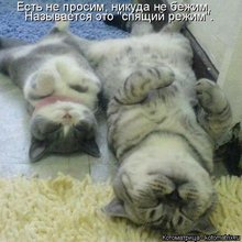 ������ ����������� �� ������