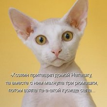 ������ ����������� �� ������
