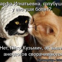 ������ ����������� �� ������