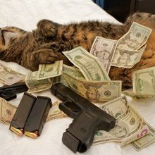 ����-���������