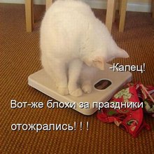������ ����������� �� ������