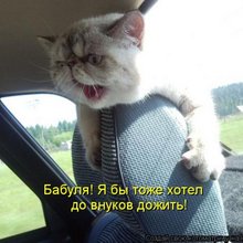 ������ ����������� �� ������
