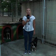 �������� �����