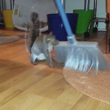 �������� �����