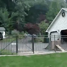 �������� �����