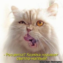 ������ ����������� �� ������