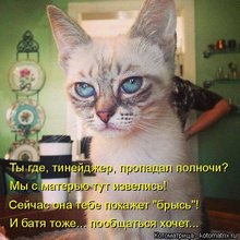 ������ ����������� �� ������