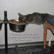 ������ ����������� �� ������