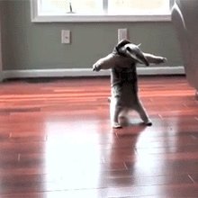 �������� �����
