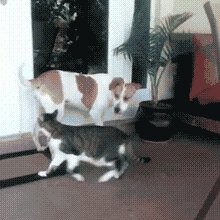 �������� �����