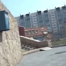 �������� �����
