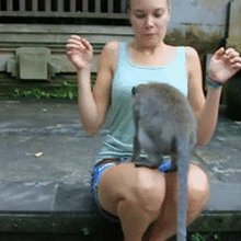 �������� �����
