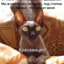 ������ ����������� �� ������
