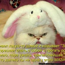 ������ ����������� �� ������