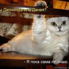 ������ ����������� �� ������