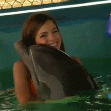 �������� �����