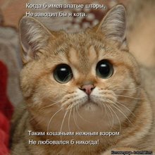 ������ ����������� �� ������