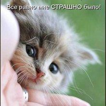 ������ ����������� �� ������