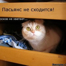 ������ ����������� �� ������