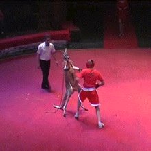 �������� �����