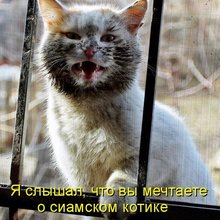 ������ ����������� �� ������
